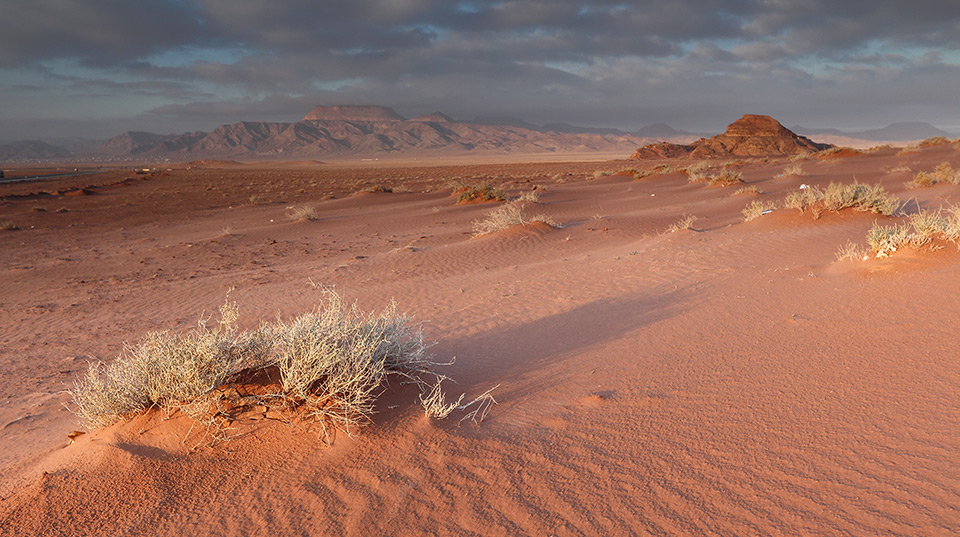 نمونه عکس ثبت شده با Canon EOS 700D