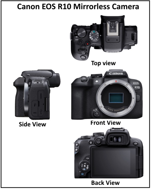 نمای زاویهدار دوربین Canon EOS R10